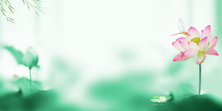 绿色中国风池塘荷叶荷花简约文艺小清新手绘立夏节气展板背景